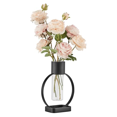 Danya B. Jacob Modern Black Metal Open Circle Pedestal Clear Glass Tabletop Vase