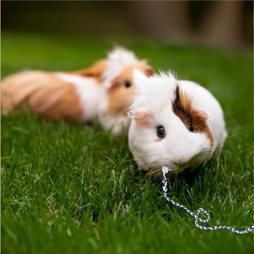 Image of 4 Pack Hamster Leash Harness Adjustable Rat Leash Harness Pet Collars for Pig Ferret Mouse Chinchilla Rabbit Guinea Squirrel Small Animal