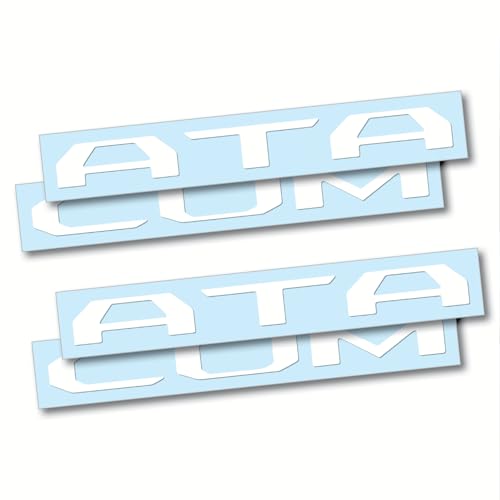 Image of (2 Sets) Prime Series UV Weatherproof Vinyl Decals for Glove Box Dashboard Letter Inserts Compatible fits Tacoma 2024-2026 (Gloss White)