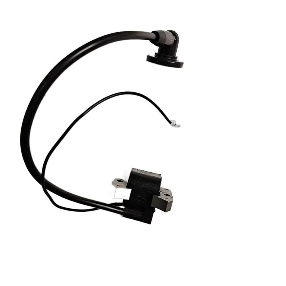 Bobine d'allumage T320 pour l'entretien de votre moteur SV100