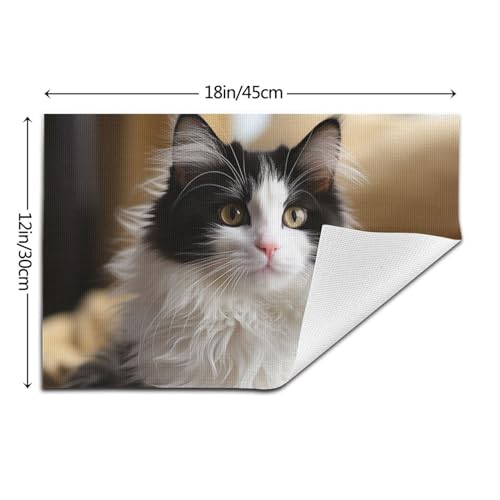 Sets de table lavables pour protéger la table des taches lot de 6 PVC