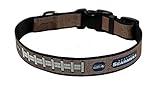 Rico Seattle Football Seahawks Reflective Dog Collar - Medium