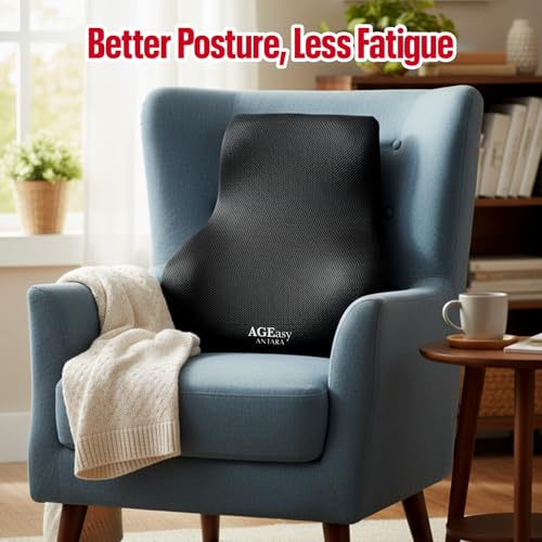 Image of AGEasy (Max Group Lumbar Back Support | Orthopedic Lumbar Support for Back Pain Relief | High Density Memory Foam (Black)