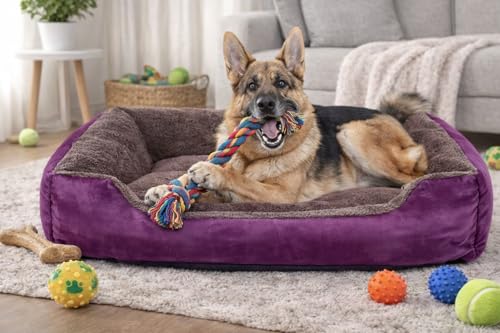 Image of SITSNOOZE Dog Beds Dogs & Cats, Rectangle Washable Pet Bed Comfortable and Breathable Pet Sofa Warming Orthopedic and Non-Skid Bottom (Reversible) (Brown & Purple, M)
