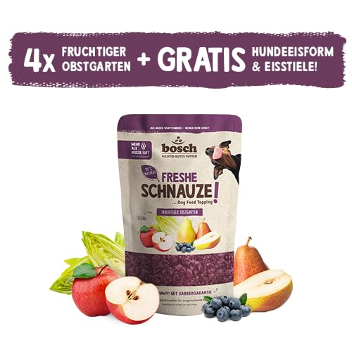 Bosch Freshe Schnauze - Aktionspaket Frucht | Hundeeis | 4 x 200 g + GRATIS Eisform für Hundeeis | Topping für Hundefutter | Für Trockenfutter und Nassfutter | mit frischen Äpfeln, Birnen & Blaubeeren