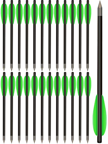 WANVZMR Mini Pistol Crossbow Bolts 24pcs, 6.3" Steel Tips