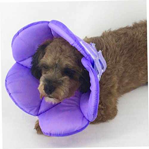 Mipcase 3 Pecas Coleira De Recuperação Para Animais De Estimação Pescoço De Flor Anti-riscos Coleira