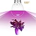 Produktbild Led Pflanzenlampe, Vollspektrum Grow Plant Light for Hydroponics Greenhouse Organic Zimmerpflanzen  for Hydroponics Greenhouses Indoor Gardening [1er Pack] (Color : 48SMD, Size : MR16)