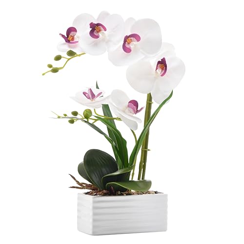 FuleHouzz Flores artificiales de orquídea de tacto real en maceta, flor falsa de Phalaenopsis con jarrón de cerámica blanca, arreglo de orquídeas sintéticas para decoración del hogar, mesa, oficina