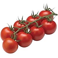 Découvrez la tomate cocktail, ce petit trésor juteux qui apporte une explosion de saveurs à vos salades, apéritifs ou plats estivaux. Facile à croquer, elle se glisse partout pour réveiller vos envies gourmandes avec sa douceur naturelle et sa fraîch...