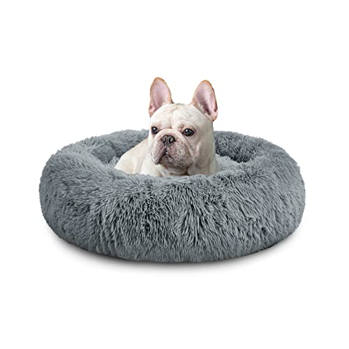 Top 10 Large Dog Beds of 2023 Best Reviews Guide