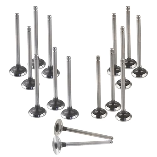 Thomletha 16PCS Engine Intake Air-out Valve Replacement for CRV Acura