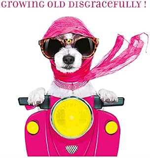 The Heritage Press ' Growing Old Disgracefully' Pink Dog on a scooter Birthday Card with Envelope - Made in UK - Eco-Friendly - 150X150mm