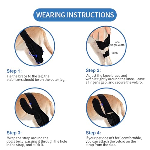 Image of Dog Knee Brace,Brace for Torn Hind Legs,Hip Knee and Leg Support for Hip Luxating Patella,Comfortable and Adjustable (M)