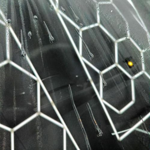 Image of CARPRO DQUARTZ GForce Glass Coating - Windshield & Window Rain Repellent Glass Treatment Sealant Ceramic Coating for Crystal-Clear Vision - Super Durable Hydrophobic Slickness - (50mL Kit)