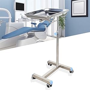 Stand Stainless Steel Instrument Salon Tray Tattoo Rolling Tray, Mobile Mayo Tray Stand Adjustable Height Medical Doctor Tattoo Spa Salon Equipment Personal Care, Max Load: 30kg Tray Size: 45x35cm