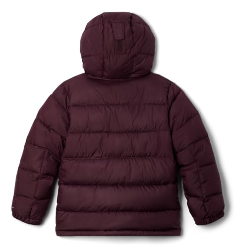 Image of Columbia Kids Pike Lakea ¢ II Hooded Jacket (Little Kids /Big Kids)
