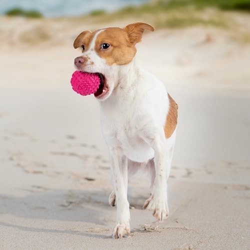 Image of Best Pet Supplies Squeaky Dog Toys with Soft Durable Fabric for Small, Medium and Large Pets Interactive Toy for Indoor Play, Supports Active Biting and Play - Fuchsia, Green (L:3.5 inch)
