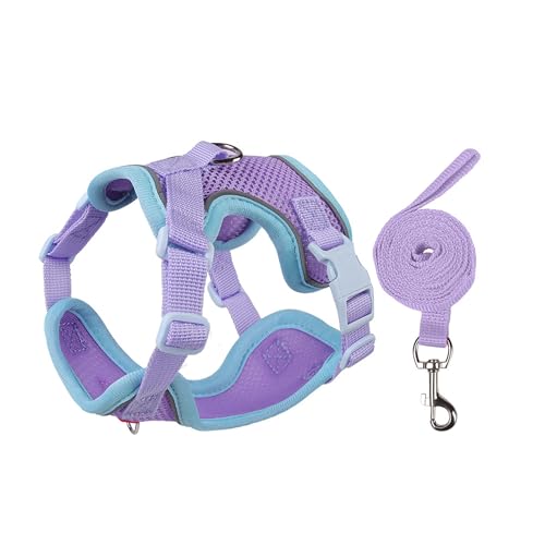 Cat Harness and Leash Set for Walking – Escape-Proof Reflective Vest for Cats and Small Dogs, Adjustable Soft Air Mesh with Pressure-Reducing Design, 4.92ft (Blue & Purple, S)