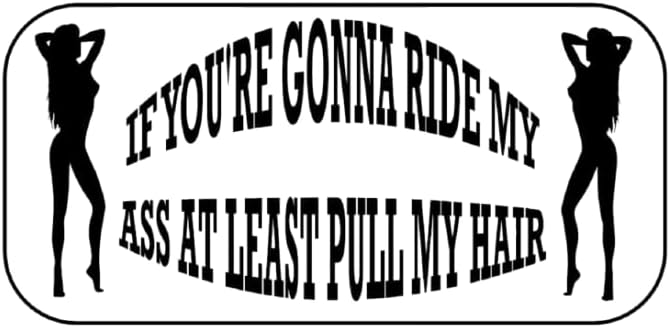 Concrete Sandwiches If You're Going to Ride My Ass at Least Pull My Hair Funny Bumper Sticker Car Van Bike Sticker Decal Printed on White Vinyl 6 Inches x 4 Inches Black Easy to Apply Free P&P