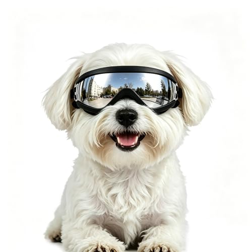 LESYPET Dog Goggles Small Breed UV Wind Dust Protection Small Dog Sunglasses with Adjustable Strap Puppy Sunglasses for Outdoor Driving Eye Protection S