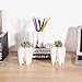 T4U Small Cute Tooth Planter Succulent Pots Teeth Pencil Holder Office Organizer Plant Gift for Dentist Mini White Ceramic Planter Pots for Succulents Herbs Cactus Pack of 3