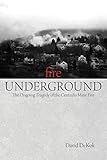 Fire Underground: The Ongoing Tragedy Of The Centralia Mine Fire