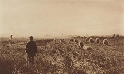Affiche Artistique les marais en juin de Peter Henry de qualité galerie