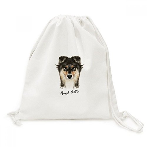 Colley à poil long sac toile cordon DIYthinker sac à dos de voyage léger
