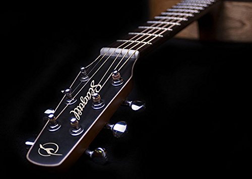 Amazon | 【国内正規品】 Seagull シーガル / アコースティック ギター