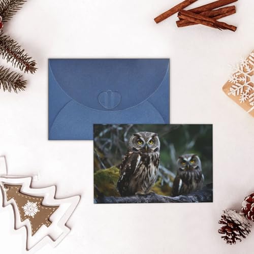 Cartes de vœux vierges hibou et oiseaux pour toutes occasions
