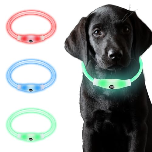 Collares Gatos Pequeños Marca Coolzon