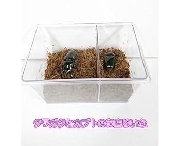 Amazon | クリアースライダー 10個【セパレータ付き