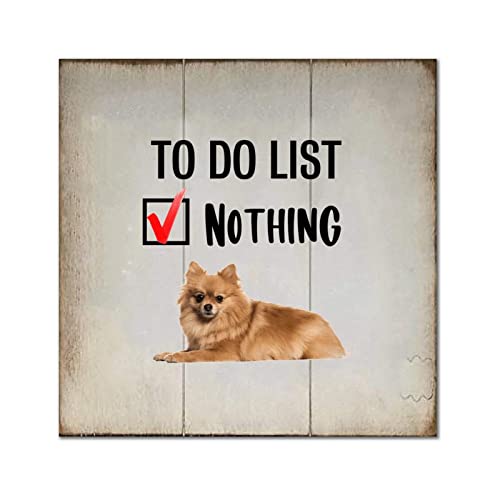 Cadre humour Chow Chow : déco murale en bois pour salon et chambre