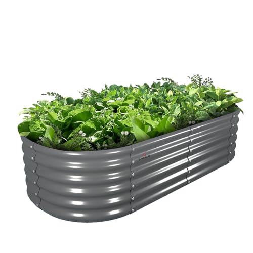 A ANLEOLIFE 6X2X1.5 ft Galvanized Raised Garden Beds Outdoor, Oval
