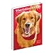 Willow Creek Press, What Goldens Teach Us 2026 Engagement Planner, 7'' X 8.66'', Weekly Calendar with Spiral Binding