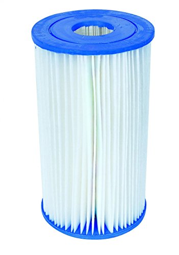 Modelo Color Alcance 1.249 Lt/H Pack 2 Unidades Código Bestway 58093 Filtro De Cartucho Para Piscina Varia Alcance Bestway