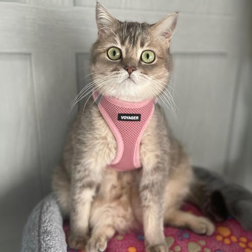 Image of Voyager Step-in Pet Harness - All Weather Mesh, Adjustable Step in Harness for Cats and Dogs by Best Pet Supplies - 307S Pink, M
