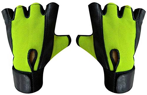 Gym Gloves | Sports Gloves | Fitness Gloves | Training Gloves |Exercise Gloves | Weight Lifting Gym & Fitness Gloves (Free Size, Green-2)-picture-43