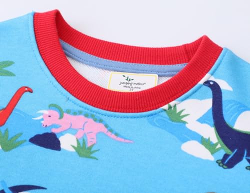 Boys Sweatshirts Long Sleeve Sweatshirts T-shirts Crew Neck Cotton Casual Sweatshirts Cartoon Tops for Boys-2533