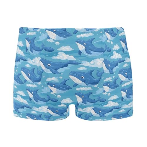Dolphins Animal Mens Swim Trunk Swimwear Bathing Suit Swim Brief Square Leg Board Short S B0403551