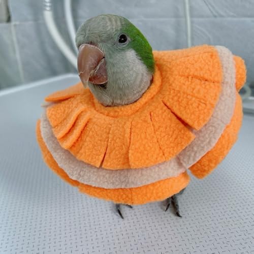Image of RRRIOT Adjustable Parrot Cone Collar, Safe and Practical Cotton Collar to Prevent Bites and Licking Wounds, to Help heal (2M)