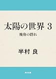 太陽の世界　３　飛舟の群れ 太陽の世界シリーズ (角川文庫)
