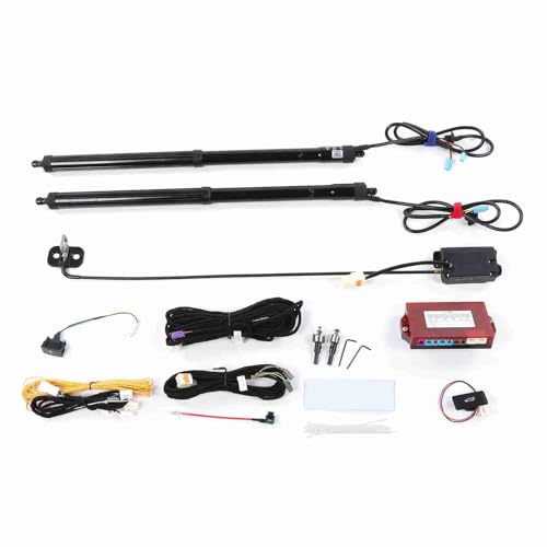 Kit eléctrico para puerta trasera CDX 2016-2020 miniatura 2