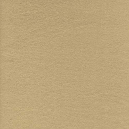 Solid Taupe Anti-Pill Premium Fleece Fabric (Medium Weight) by The Yard