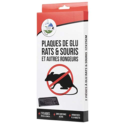 Terra Nostra X2 Plaques de glu anti rats & souris - Odeur Noisette - Petite Taille 12 x 25 cm Cover