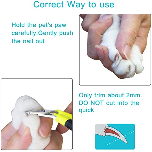 Alinana Krallenschere Kaninchen, Krallenschere Katzen mit Einzigartiger 25 Grad Schneidekopf, Fachmann Hundekrallen Schneider Für für kleine Hunde Welpen Katzen Hasen, Gebogene Klinge