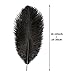 Rgontar 10-12 inches Black Ostrich Feather,Large Natural Ostrich,Plumas para Decoraciones for Home Decor Party Wedding Decorations, Pack of 5 (Black)