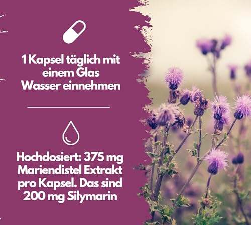 Mariendistel Kapseln von EXVital mit 60% Silymarin