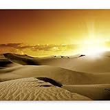  murando Fototapete Wüste 350x256 cm Vlies Tapeten Wandtapete XXL Moderne Wanddeko Design Wand Dekoration Wohnzimmer Schlafzimmer Büro Flur Sand Natur Landschaft Dünen Sandwüste Afrika 10110903-33